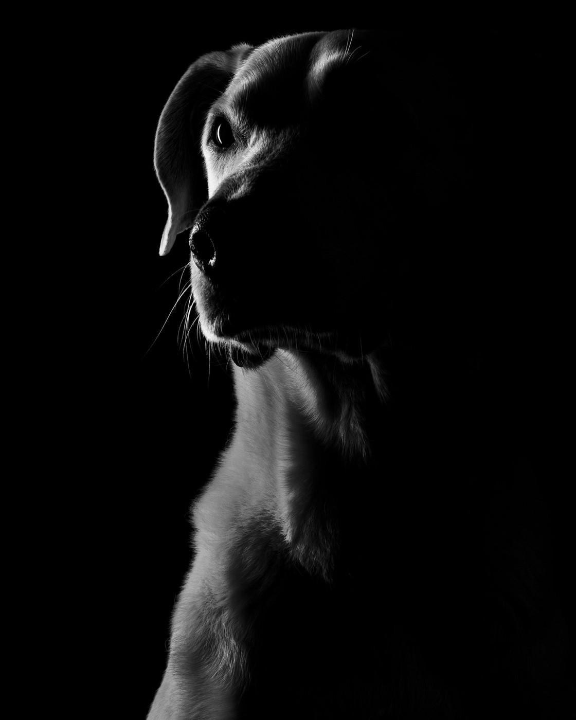 Collection 91 photo by Rupert Quaderer