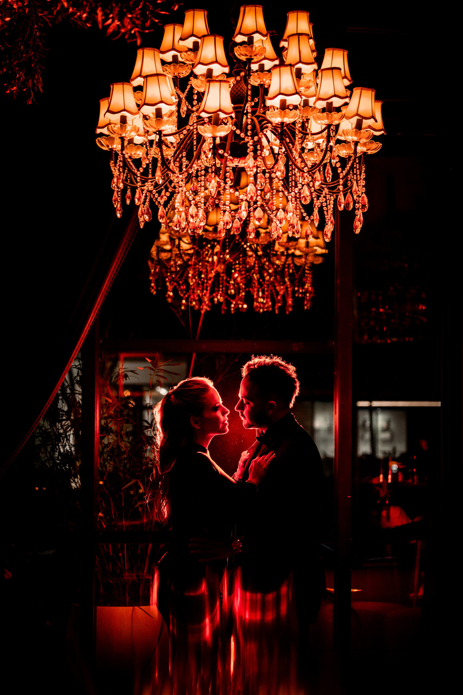 Collection 108 photo by Leonardo Espina
