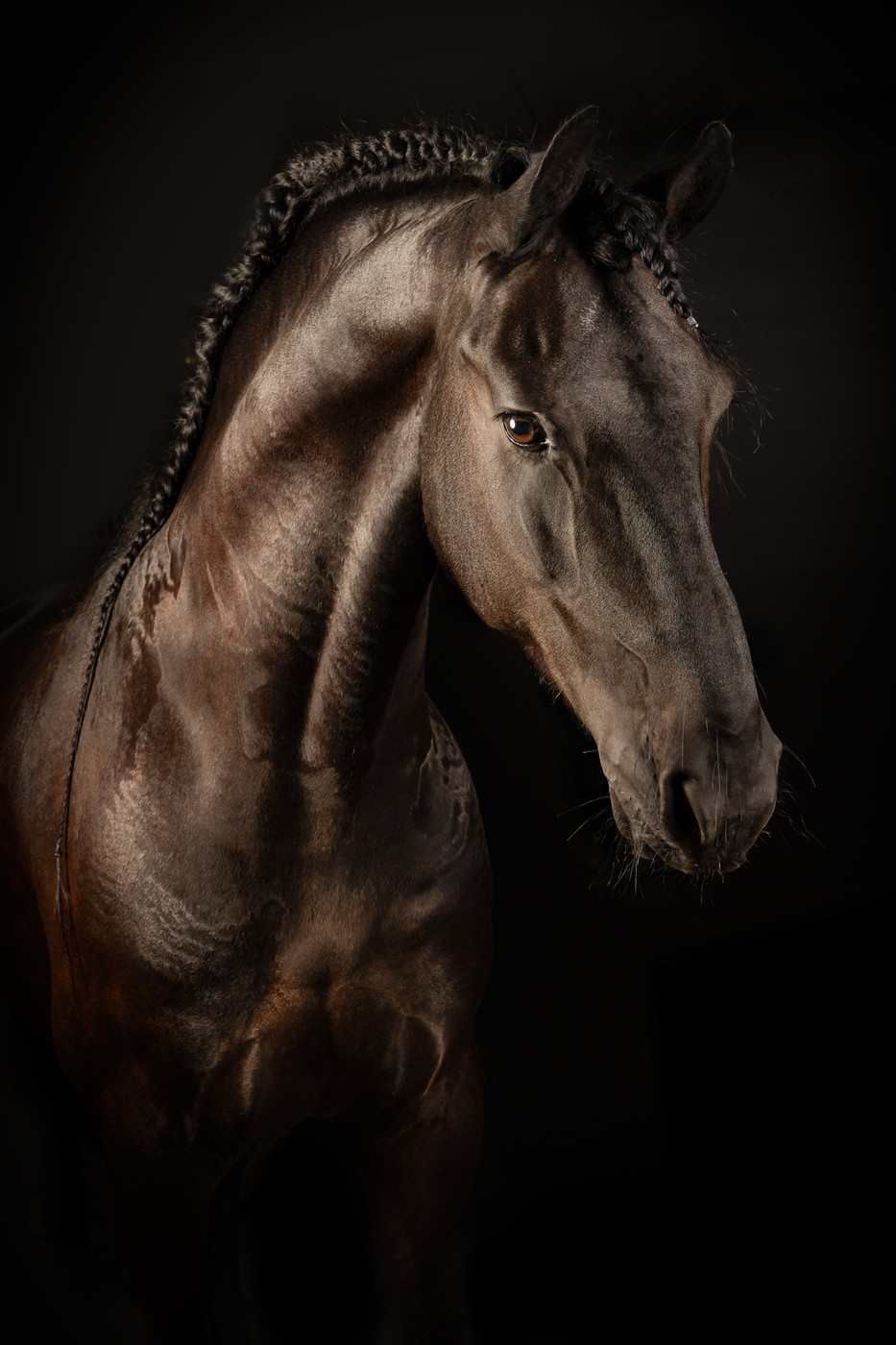 Collection 114 photo by Dominique Barendregt