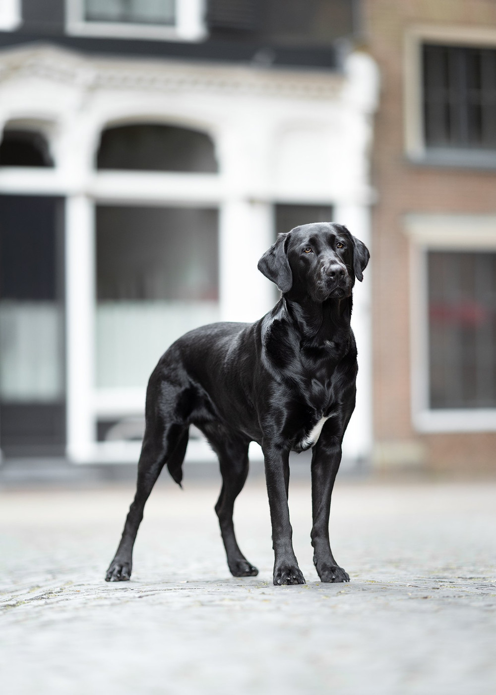 Collection 116 photo by Annieke Wagenaar