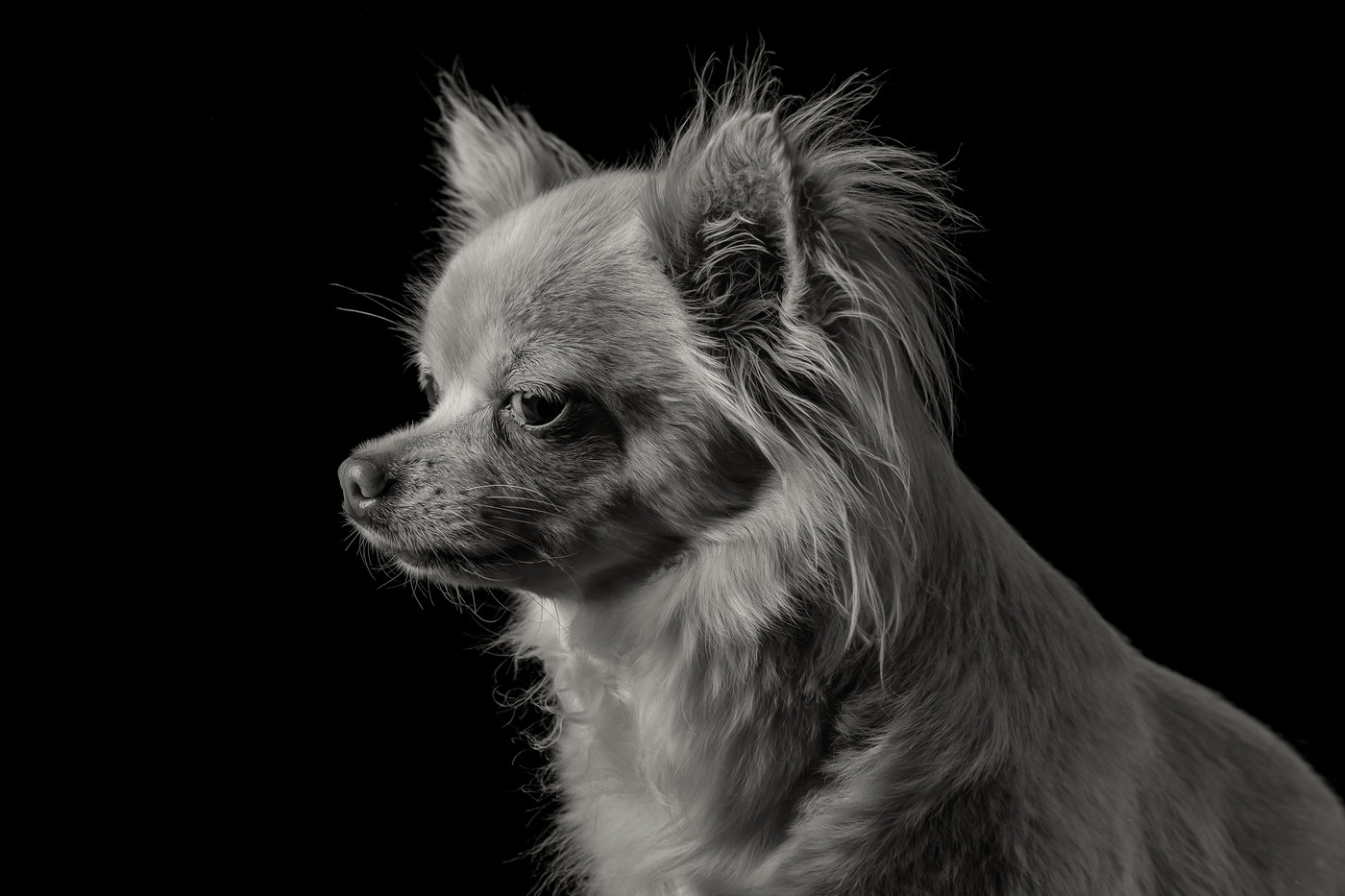 Collection 118 photo by Diane Bliessen