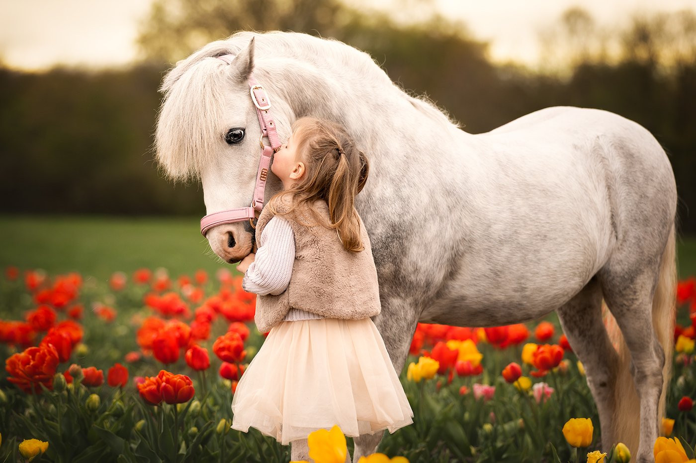 Collection 121 photo by Bente Oosterwold