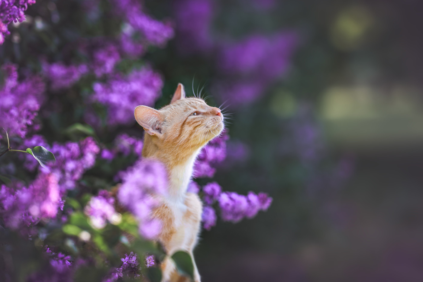 Collection 123 photo by Lucie Nermuťová
