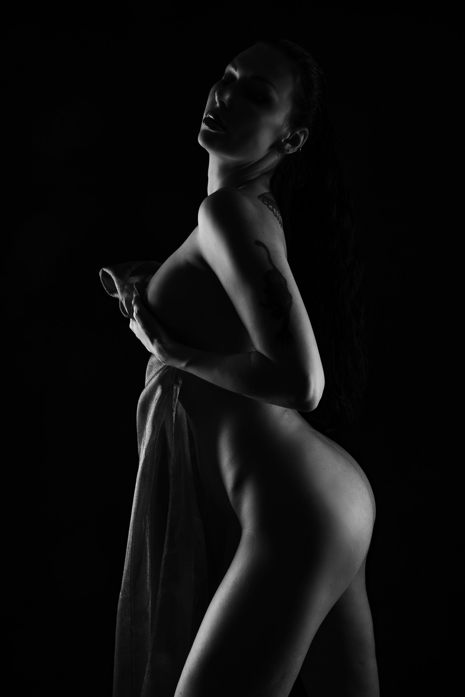 Collection 123 photo by Werner Wyss