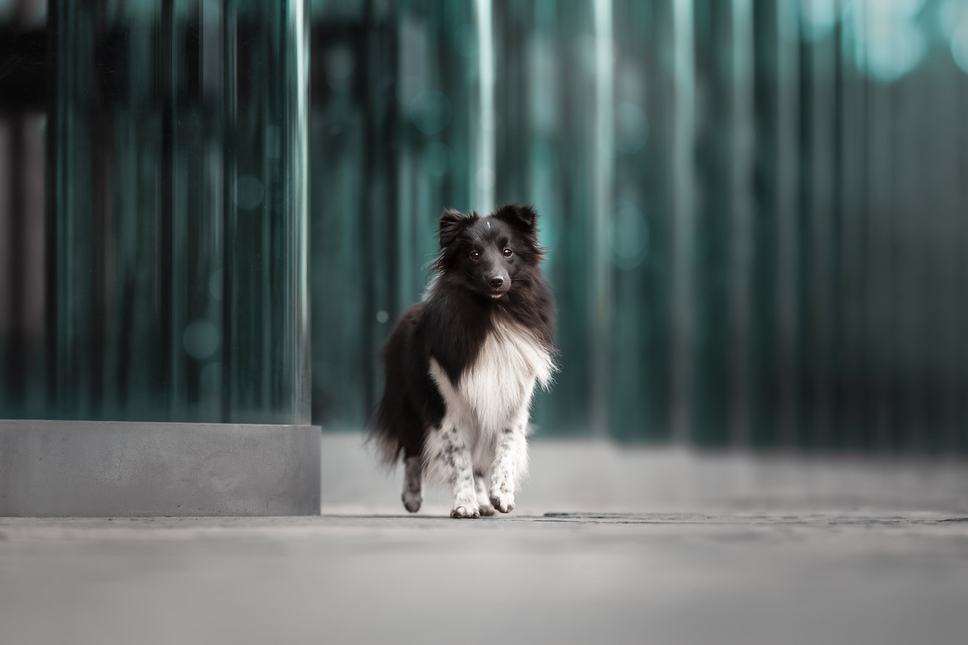 Collection 123 photo by Denise De Groen