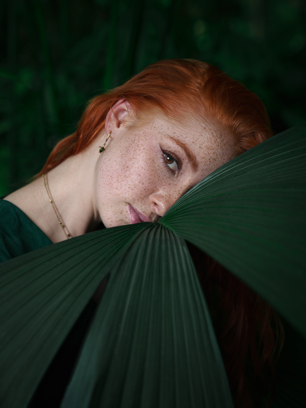 Collection 124 photo by Alexander Forst