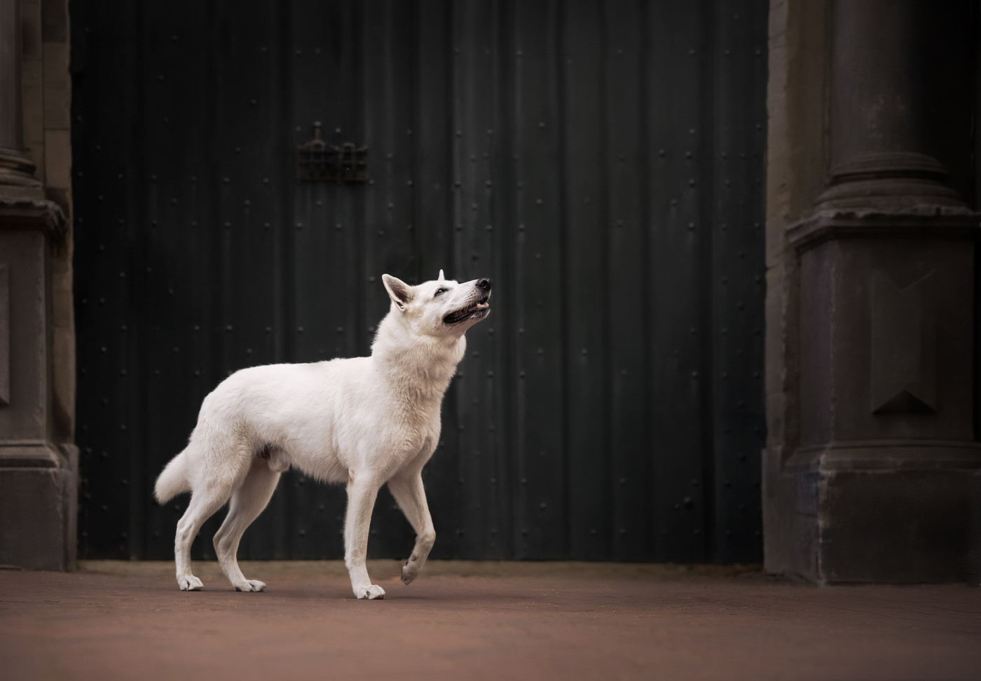 Collection 125 photo by Esther Geissler
