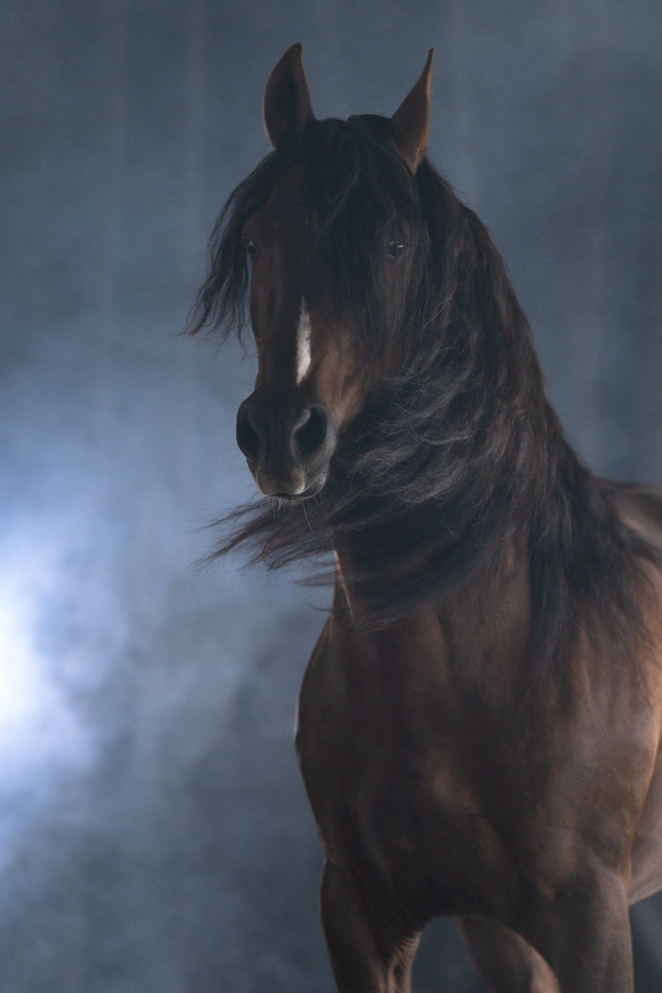 Collection 125 photo by Denise Strauch