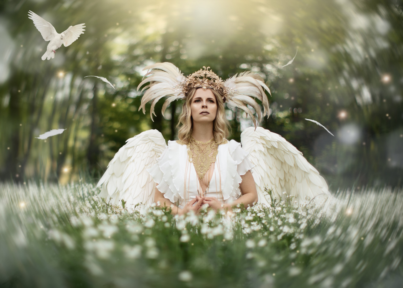 Collection 84 photo by Nicole Dopfer
