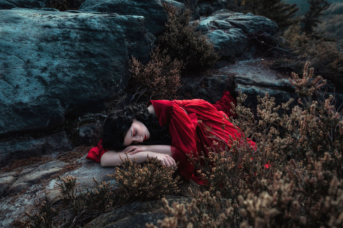 Collection 89 photo by Kristina Klemm