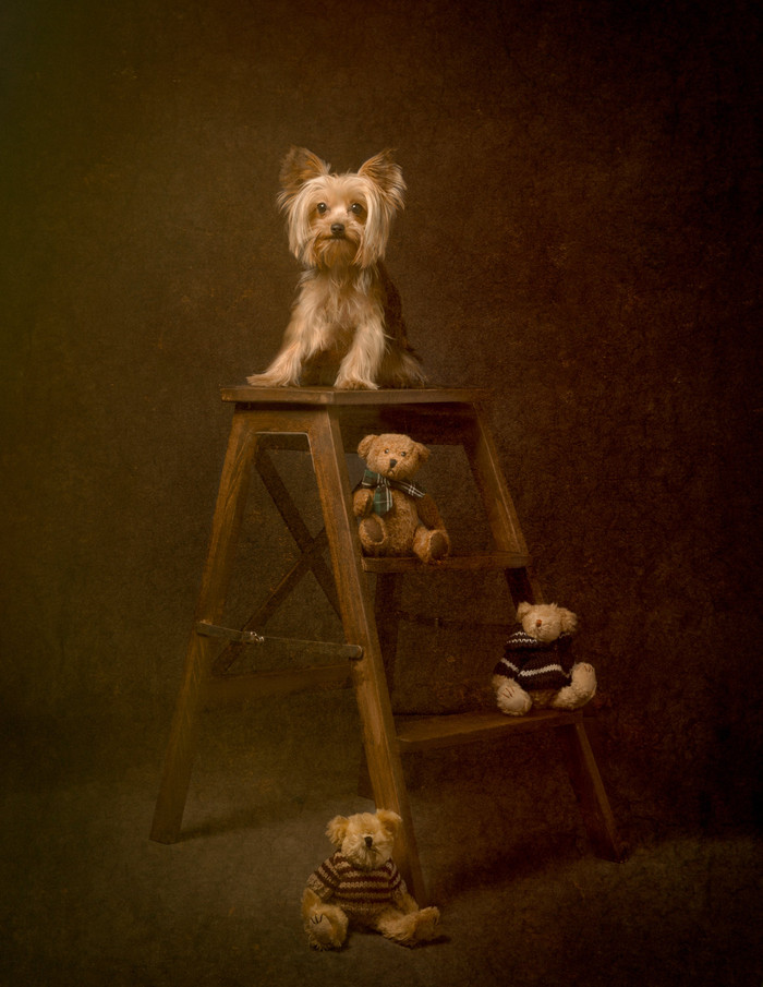 Collection 74 photo by Shelley Franklin