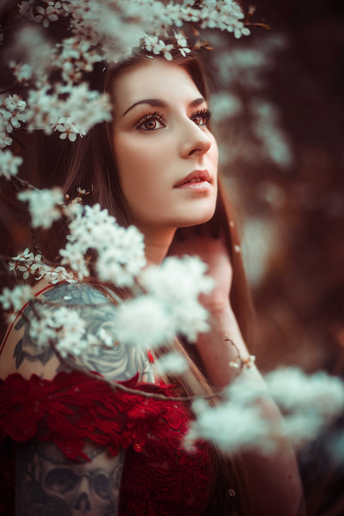 Collection 97 photo by Jessica Halt