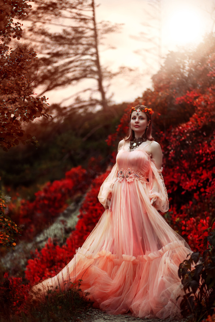 Collection 95 photo by Jessica Halt