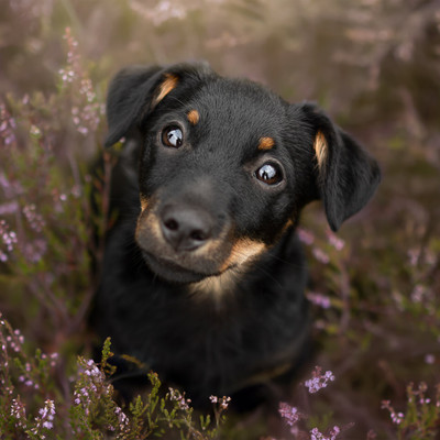 Fotografie v galerii 2
