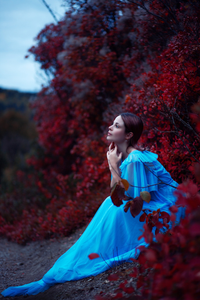 Collection 91 photo by Jessica Halt