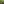 Forest Daydream