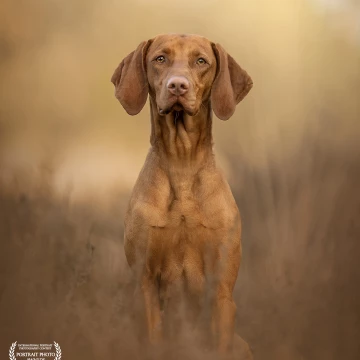 The wonderful girl Luus did amazing during our shoot!