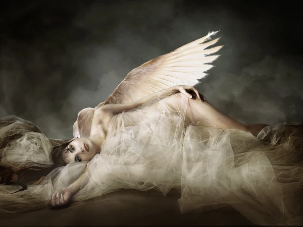 Fallen Angels is a series of images dedicated to all the people who, in their lives, have dared to disturb the universe. They believed they could transform the world and their lives. To all the people who dared to fly.