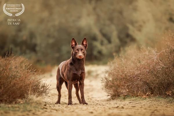 Ready for some action