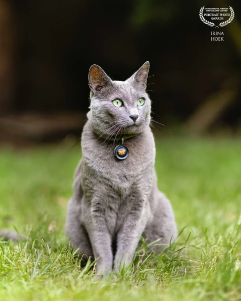 One of the best models, my own cat :)
