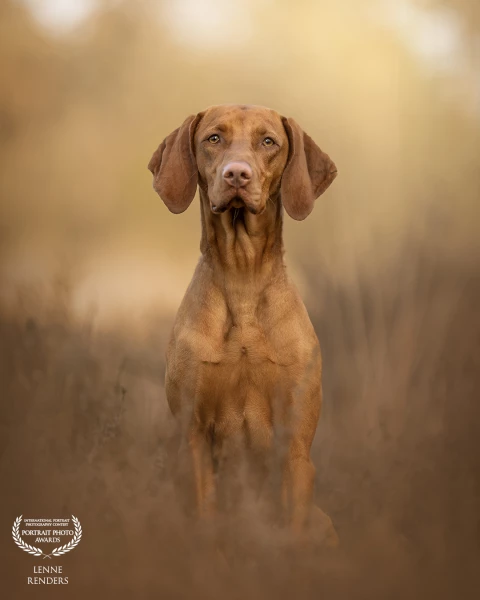 The wonderful girl Luus did amazing during our shoot!