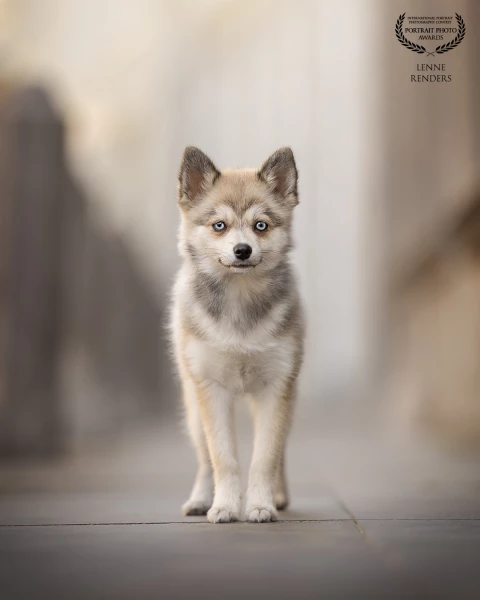 Wonderful Skylar during a morning photoshooting in the center of Utrecht. She did amazing!