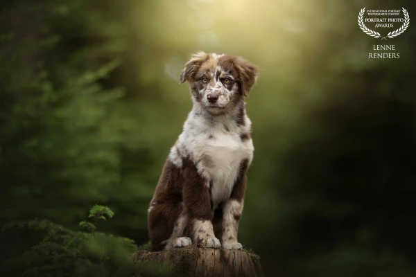 Cutest little Sage posing perfectly in front of my lens during a beautiful evening. Isn't she perfect?