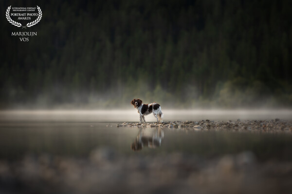 This is Coosje, striking a pose at the stunning Heiterwangersee in Austria.
A few days after a photo...