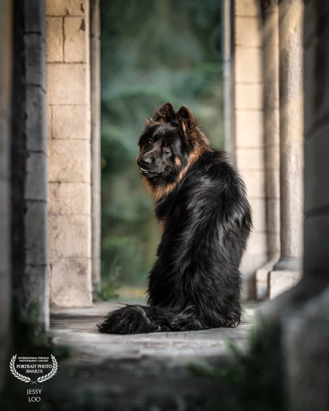 Model Sky on his 1st birthday 🎂🤎