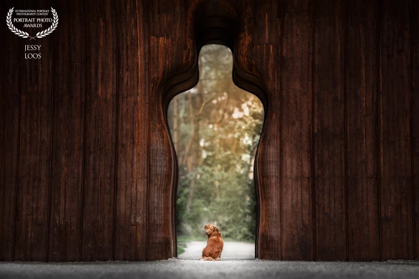 Vita between the artwork 'House of Nature'.
