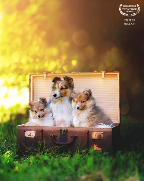 Bags are packed