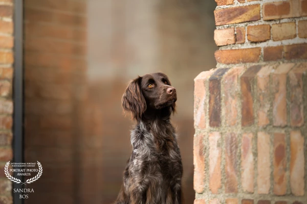 Vanya during her photoshoot in Genk.