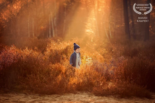 A little boy in the forest in the Netherlands, surrounded by magical morning light.