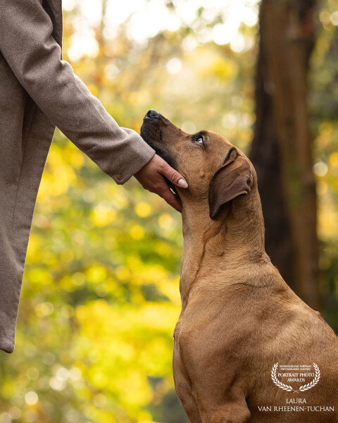 A pure and magical bond of loyalty, emotion and trust, felt in a single touch.