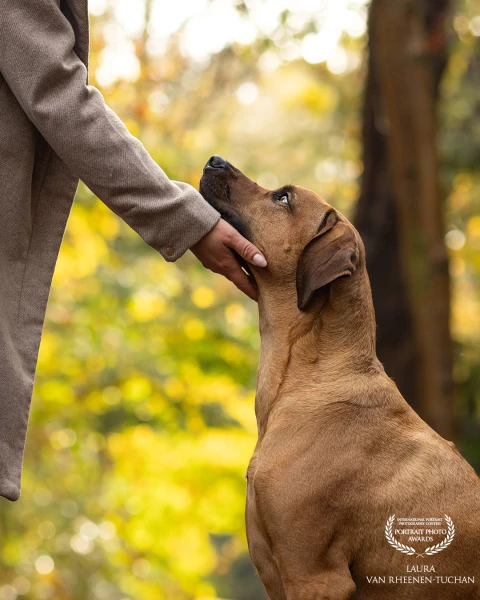 A pure and magical bond of loyalty, emotion and trust, felt in a single touch.