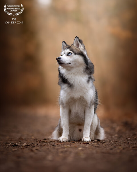 Monti looking like he’s a born model🥰