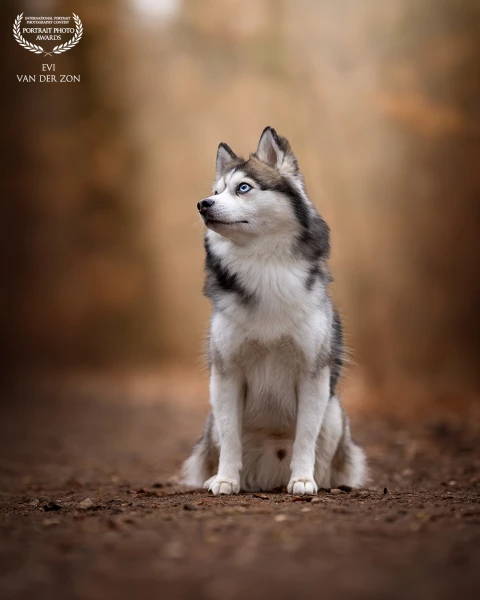 Monti looking like he’s a born model🥰