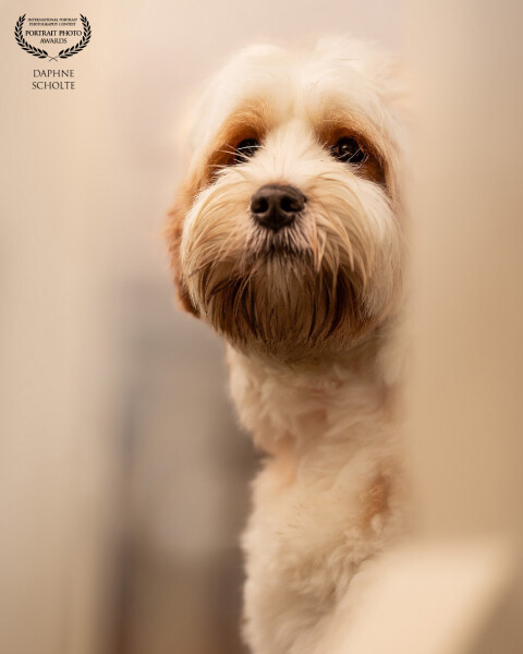 A Quiet Moment

Sometimes a portrait doesn’t need a dramatic landscape or a grand setting.

This ima...