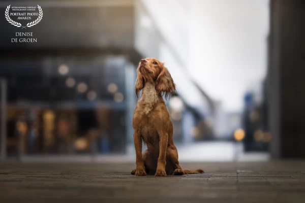 How beautiful does Aoife looks in the city? I love this combination!