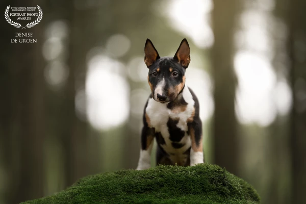 So small and tough but oh, so sweet!