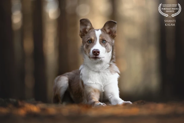 Curious by Nature