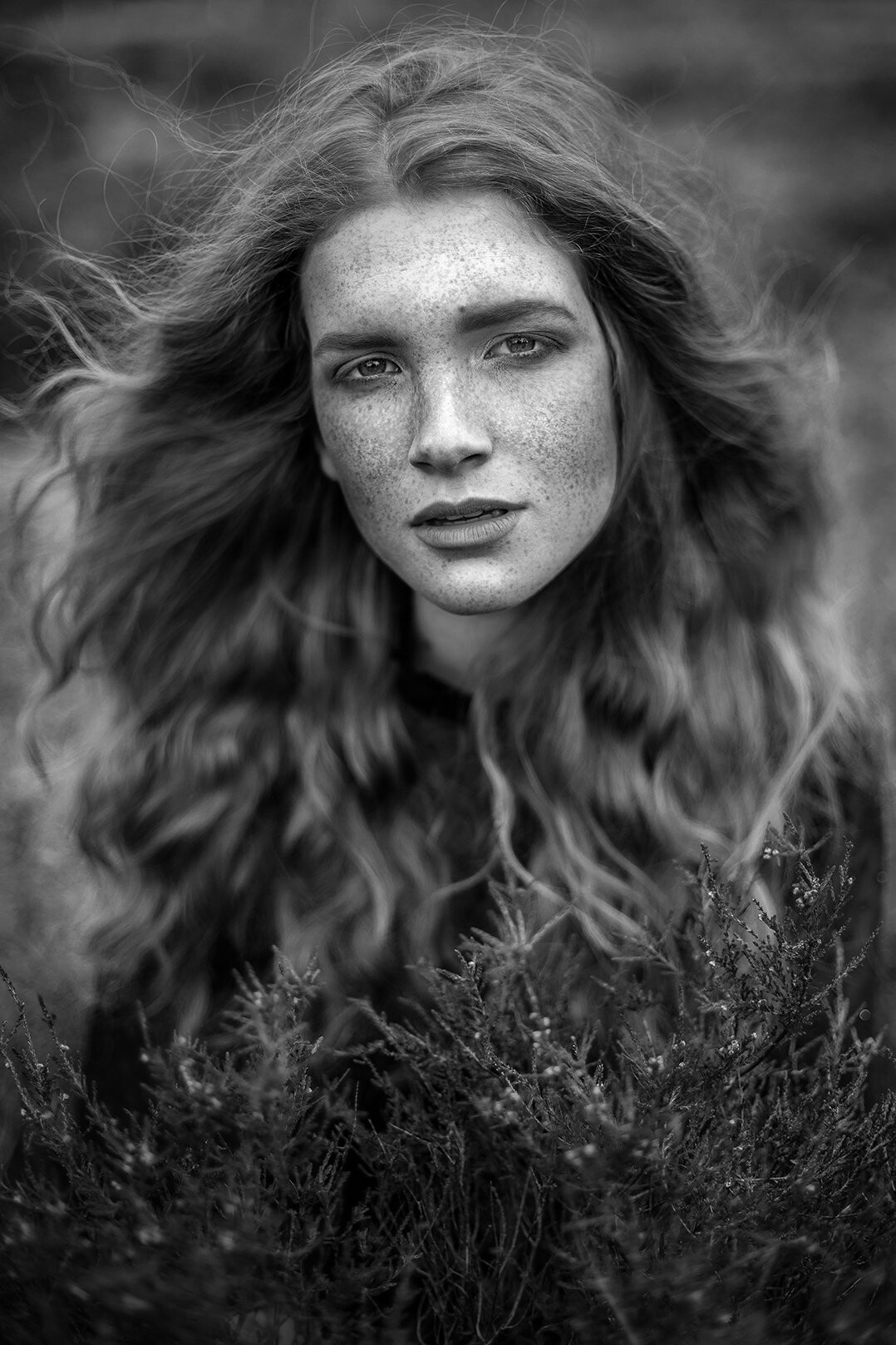 In this picture i wanted to show that was taken in heath. The beautiful hair of the model blends into branches of the shrubs. And with this beautiful model and the many freckles gives the picture a naturally look.