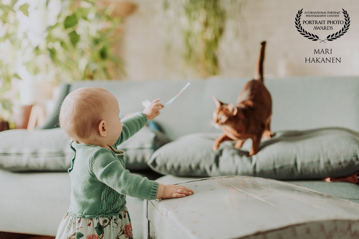 This picture was taken in the middle of a photo shoot of a one-year-old girl. It was not staged or planned in any way, the cat just appeared and started playing with the child and her amusement park wristband. Natural light is the only light used in taking the picture.