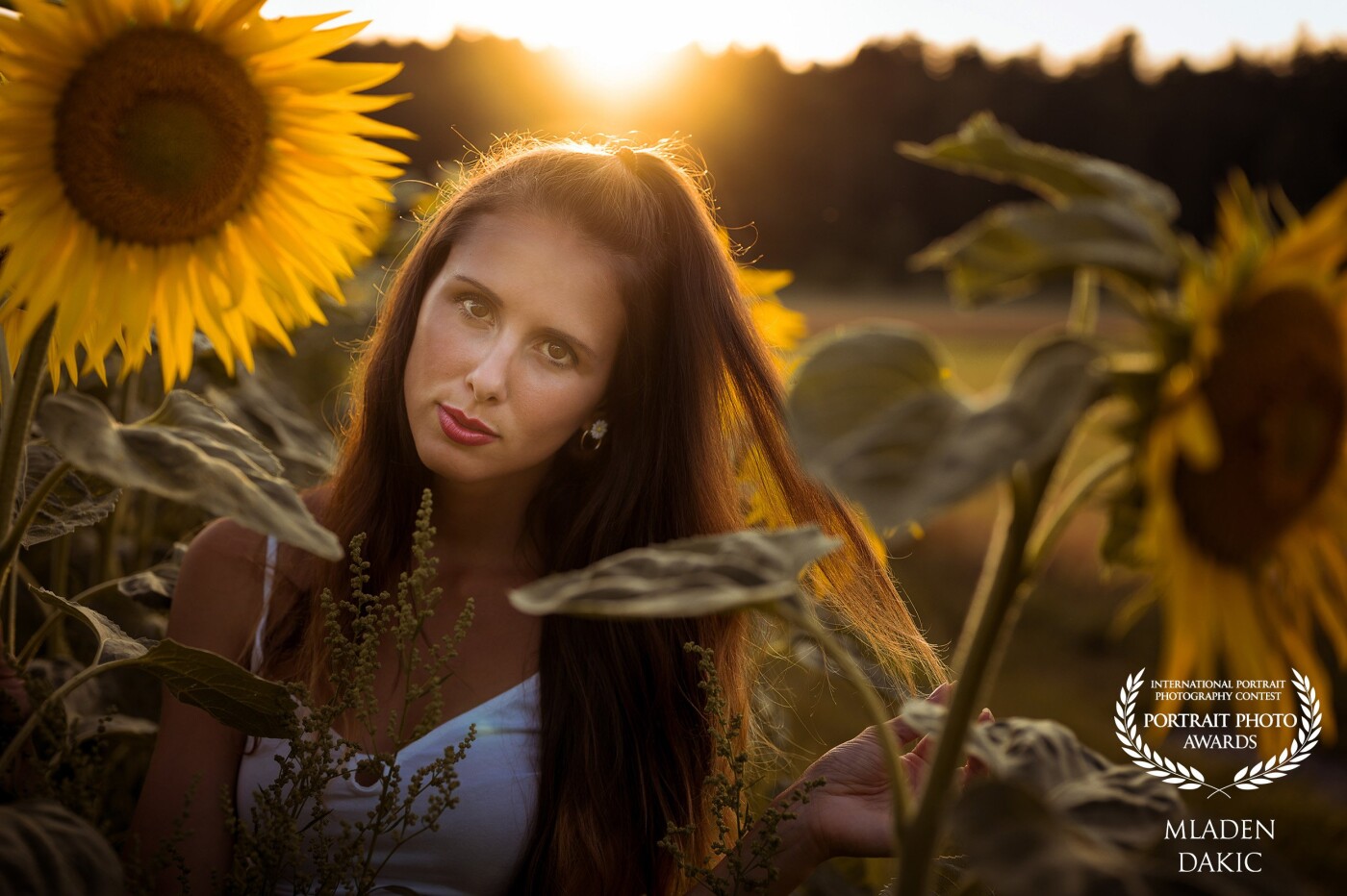Finally an Award with Vanessa! After numerous photoshoots with Vanessa, an absolutely natural Beauty. One of my favorites pictures, of many great pictures we made at this nice summer evening, is this one, with the title "An evening in the sunflowers".<br />
The only available light was used.