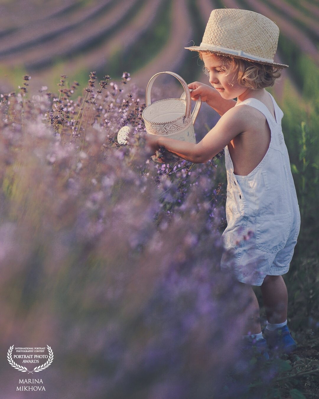 It’s so much easier to photograph children when they have a job to do :))) I brought several bottles of water to make him truly water the lavender!