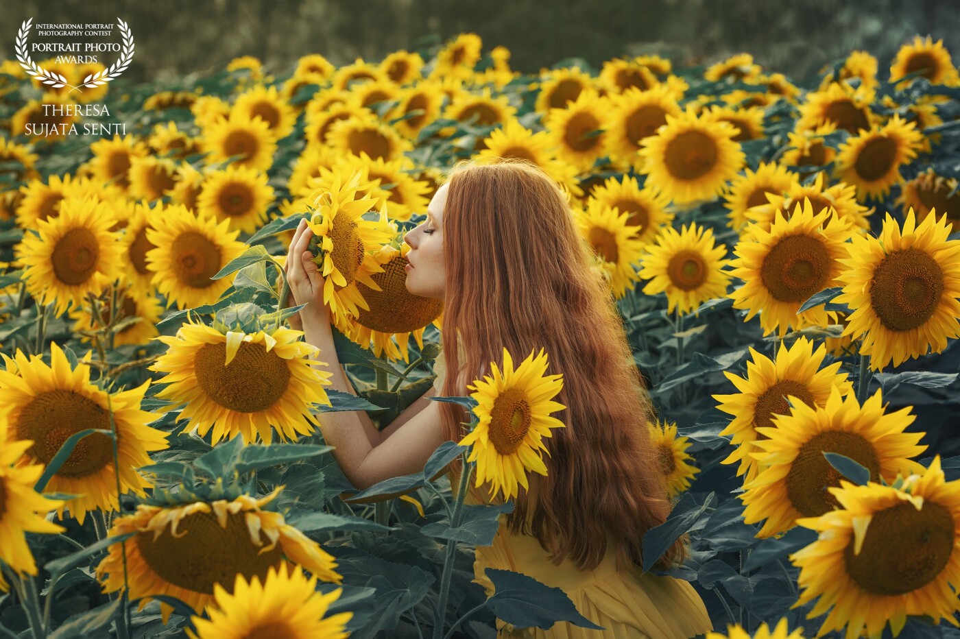 When my boyfriend causally mentioned that he saw a huge sunflower field that I might like, I headed off the next day to see it. It was love at first sight and I did not one but two photoshoots there, beautiful @manuela_mannequin joining me for one of them.