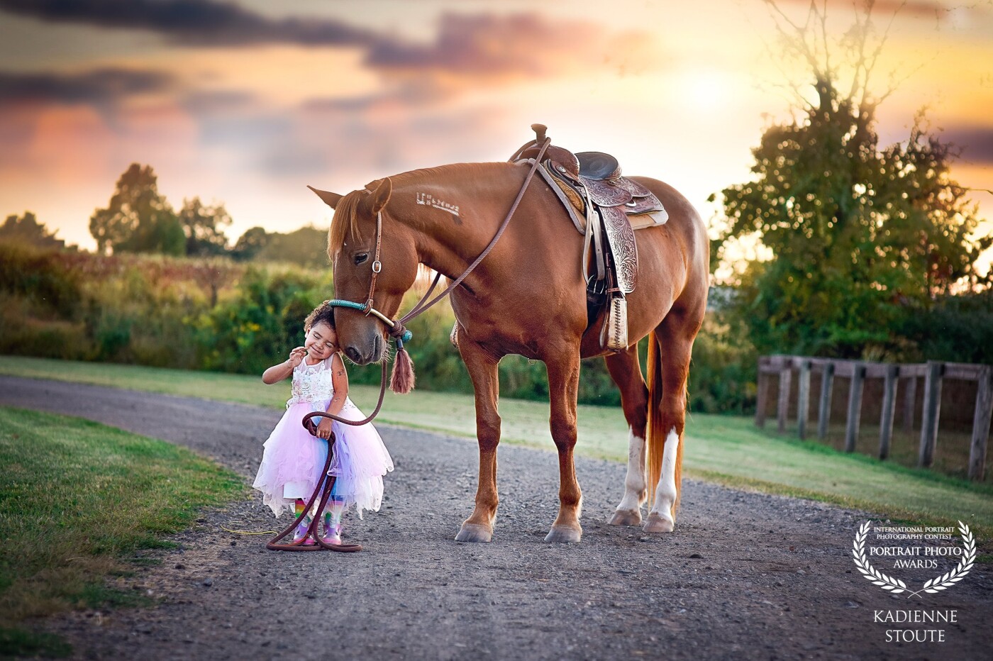 This is a portrait of my then 4 year old daughter and my 9 year old once wild mustang Argo at sunset at the barn where we keep her. This was shot with a Nikon Z6 and a Nikkor 700-200 f2.8 (at 200mm f2.8).