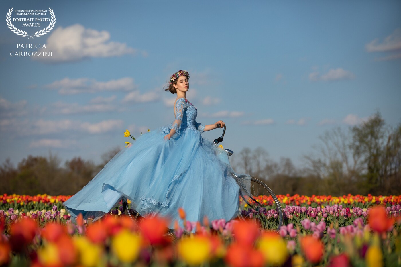 A beautiful young woman is kissed by the gentle breeze that makes tulips dance, on a radiant spring afternoon on one of the farms in the Garden State of New Jersey.
