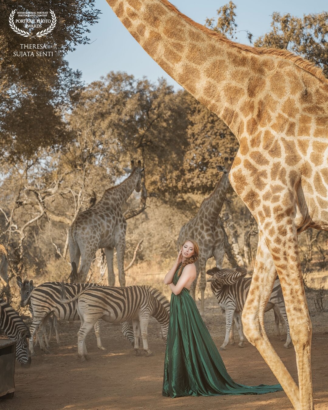 Photobombed by a giraffe. <br />
That’s what might happen, when you join my friend @nitschkephotography and me for a trip to South Africa. <br />
Usually, these animals are very shy and prefer to stay in the background but this time, not so much. ???<br />
Thanks to our beautiful model @mme_gingerella and @roseserenestudio for the amazing styling.