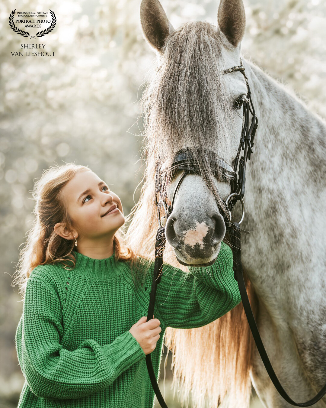 I took this photo off my oldest daughter with pretty PRE mare Luna a few weeks ago. During my work as a photographer I meet a lot of nice people and customers and they are often willing to give a bit of their time ánd horse to give my daughters a wonderful couple of hours at the stables. I photographed Luna already a couple of times and her owner invited us during the Autumn Holidays to visit them. This very nice morning was full of petting, hugging, brushing, eating cookies and some photographing. My daughters a true horse girls so as I.